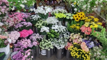 「東光生花店」　（北海道紋別郡滝上町）の花屋店舗写真2